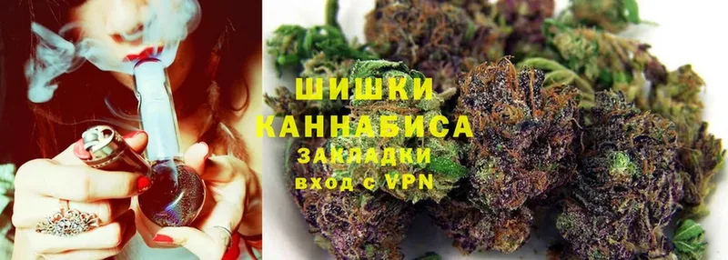 Каннабис сатива  Андреаполь 